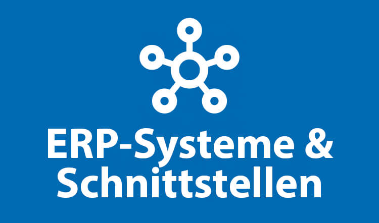 ERP-Systeme & Schnittstellen